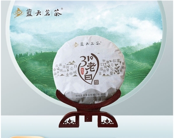 老白茶 31度 蓝天茶叶