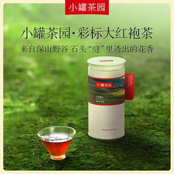 小罐茶 小罐茶园彩标大红袍茶160g（80g*2）