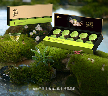大师系列·安吉白茶 10 罐装 4.0版A