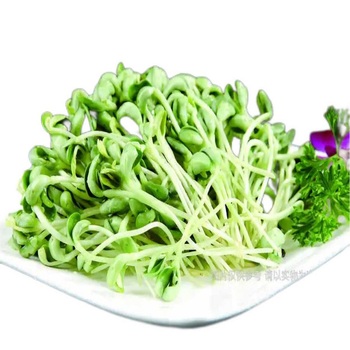青豆苗（斤）