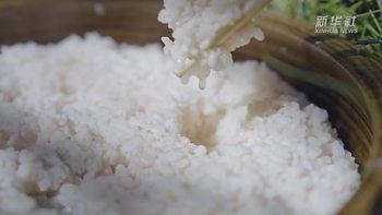 甜白酒