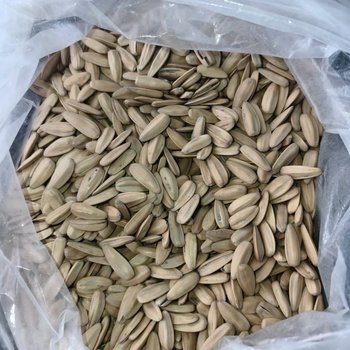打手葵花籽500克