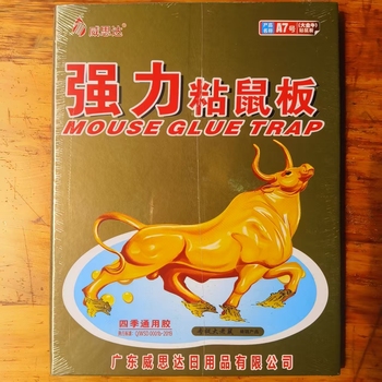 粘鼠板*1个