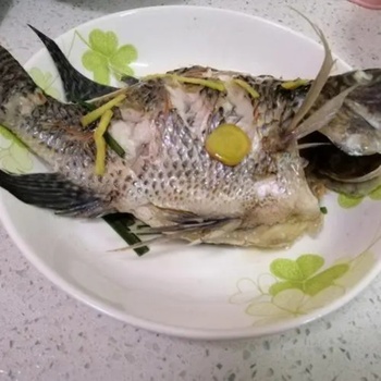 熟罗非鱼1斤