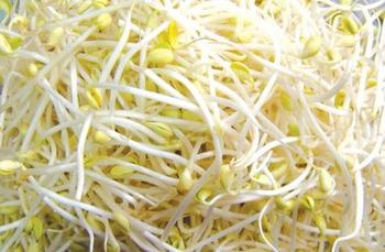豆芽 1斤