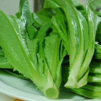 【斤】油麦菜